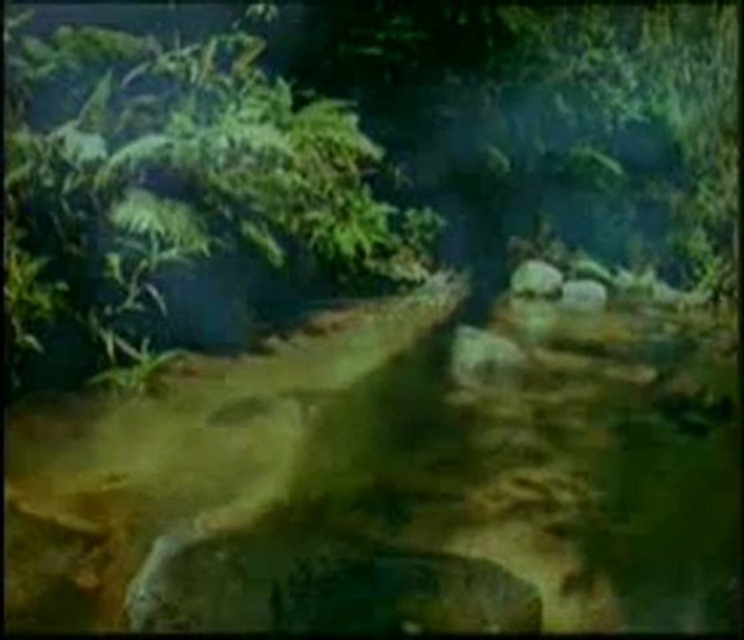 Kuran Meali: Hicr Suresi 9-25