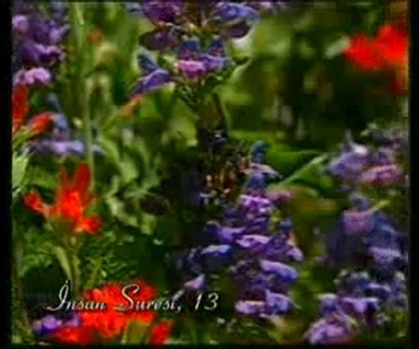 Kuran Meali: İnsan Suresi 1-22