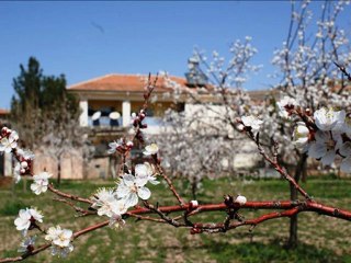 İsmail Özden - Yalan Dünya