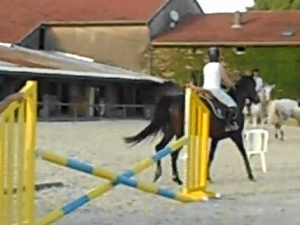 Cours obstacle 27 juin 2011 - 3