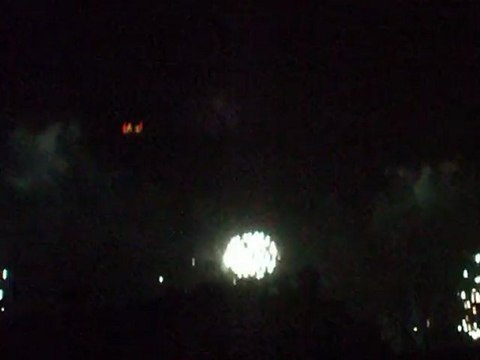 Feux d'artifices Paris Juillet 2011