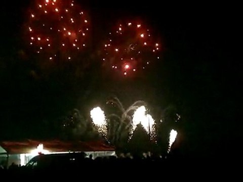 Feu d'artifice du 14 juillet 2011 au Havre