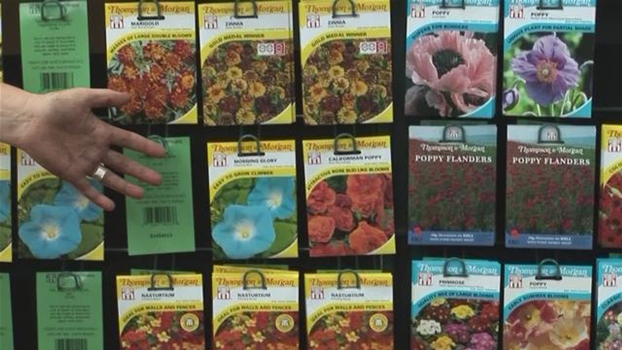 How To Purchase Seeds