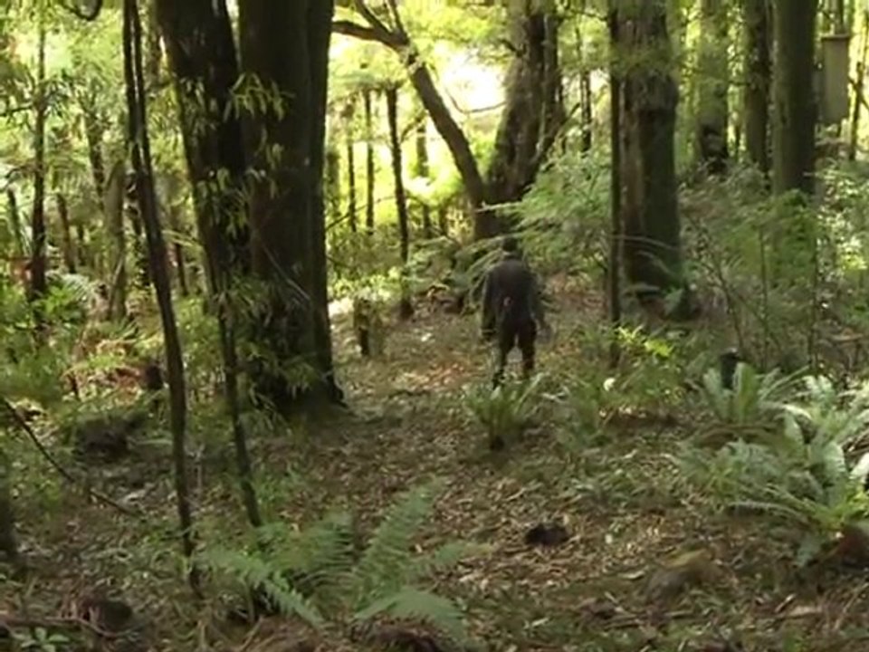 Rare white bird lifts hopes for N.Z. kiwis