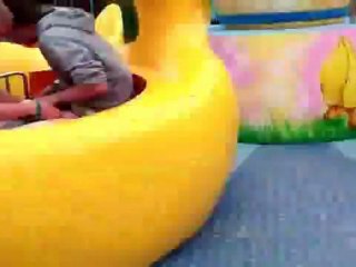 Never Let Idiots Ride Your Carousel Fail