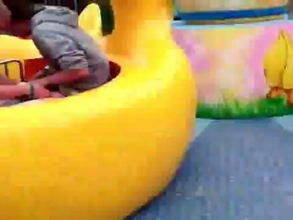 Never Let Idiots Ride Your Carousel Fail