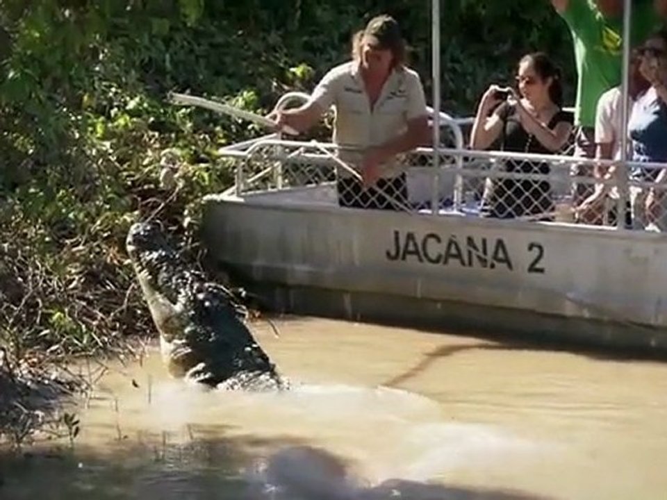 Bild Erfasst Riesenkrokodil Leaping Durch Tourist Boat