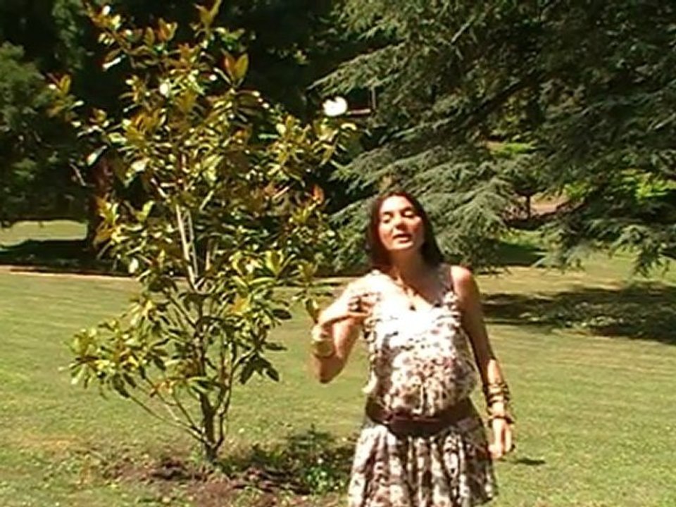 Carole Jehan Hypnothérapeute bien-être vidéo la phrase du matin www.carolejehan.com et carolejehan.over-blog.com