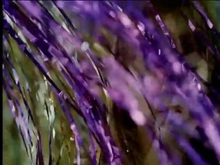 Harry Potter llega dispuesto a hechizar las taquillas con el fin de sus aventuras