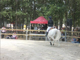 Lamotte beuvron 2011_0002