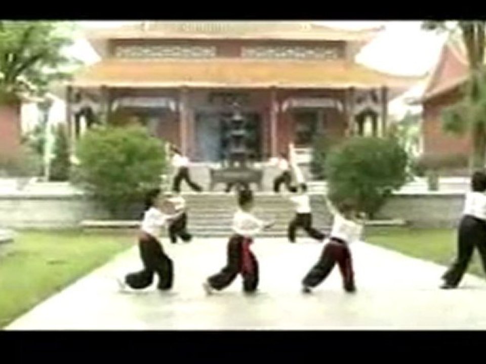 Kung Fu Lyon | Choy Lee Fut Kung Fu_China