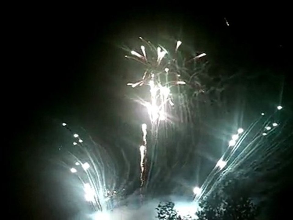feu d'artifice 14 juillet 2011