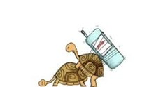 Turtlepower