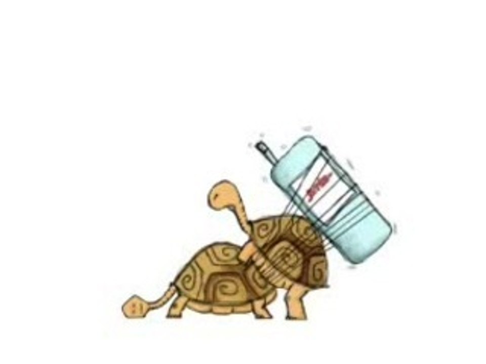 Turtlepower