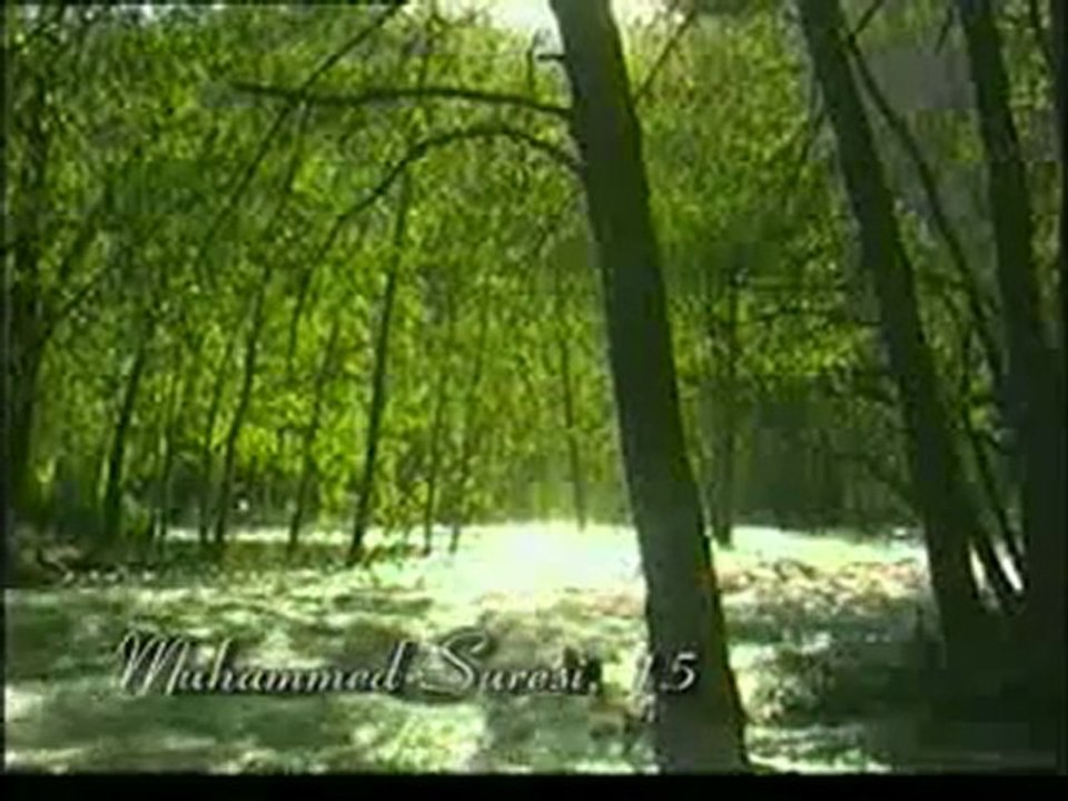 Kuran Meali: Muhammed Suresi 7-19