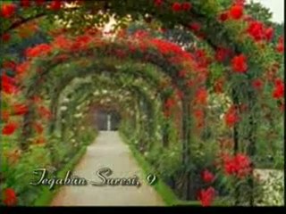 Kuran Meali: Teğabün Suresi