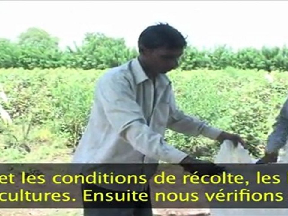 reportage inde