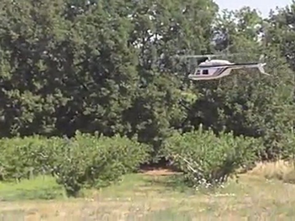 Michel83 et son Jet Ranger (600ESP - BeastX)