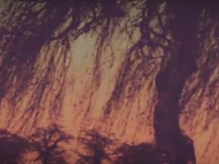 Katatonia - The Longest Year