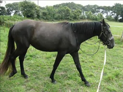 lola séance longe le 15 juillet 2011