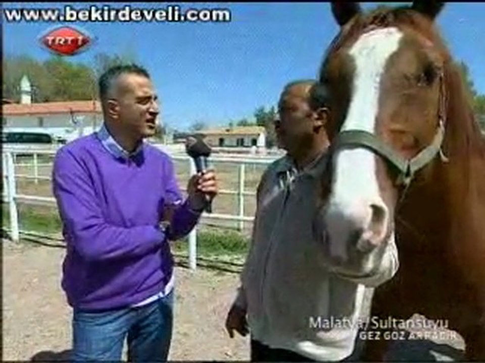 Bekir Develi - Gez Göz Arpacık - Malatya / Sultansuyu