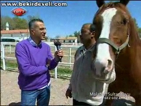 Bekir Develi - Gez Göz Arpacık - Malatya / Sultansuyu