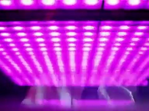 The Black Eyed Peas - Don't Stop The Party