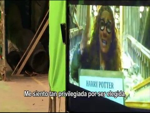 'Harry Potter y las reliquias de la Muerte: Parte 2' - Last Days