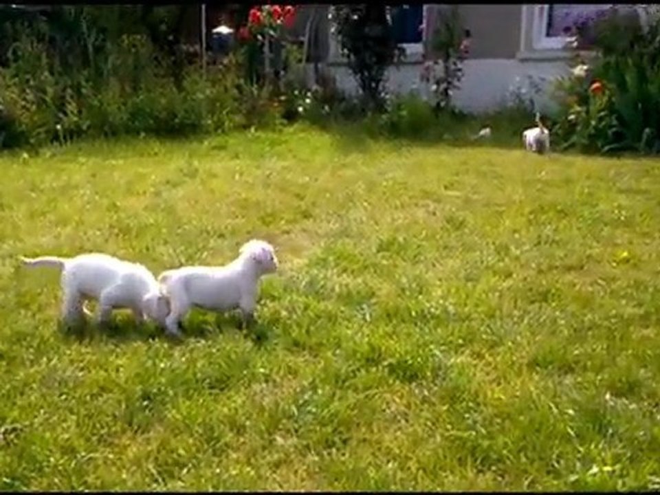 Petite sortie le 15-07-11