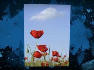 How To Quit Drinking