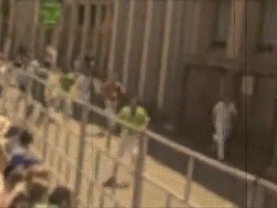 Encierro Madeleine 2011