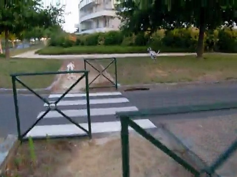 promanade matinale