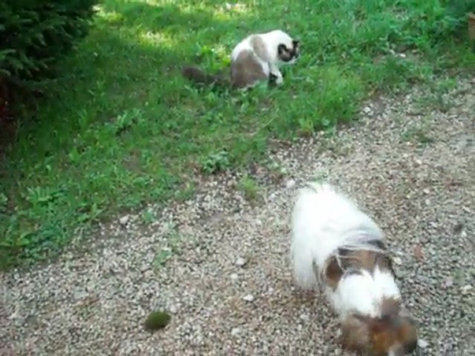 Rencontre avec ondine 3