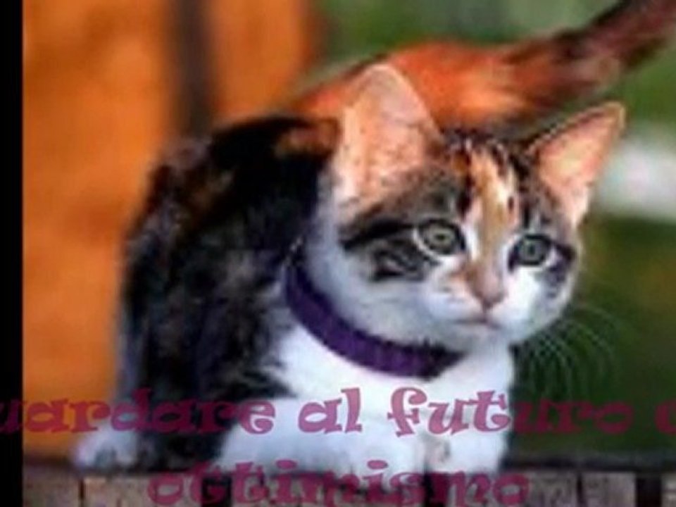 A Francesca