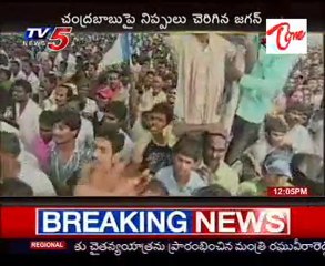 Jagan Ends Raithu Deeksha In Guntur
