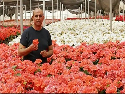 Instituto Cultural e Hist da Aeronautica maio 2006-Segment1(00-00-00-00-58-31)