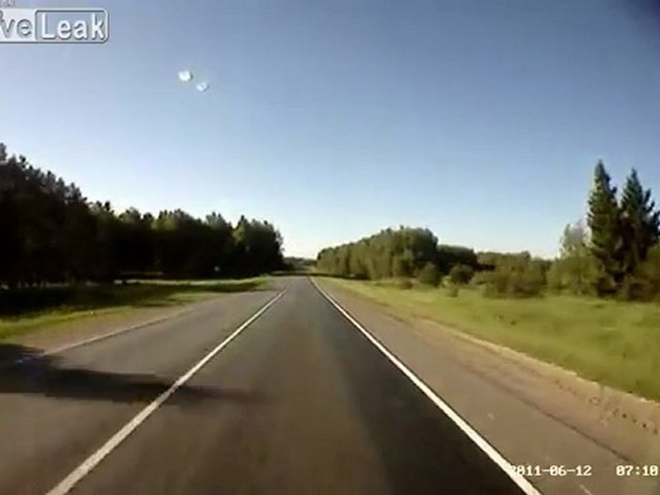 Speeding Car Takes Out Animal (need full screen)