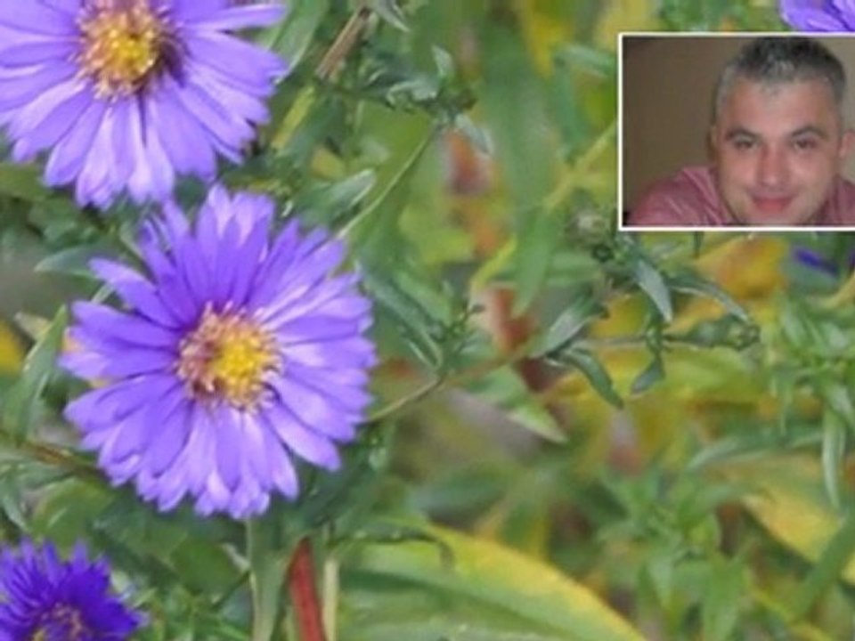 Müzeyyen Senar _Bir gönül vardı bende_