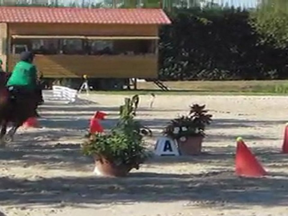 Equifun club poney junior