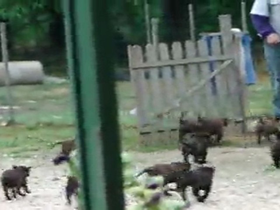 comment nous allons dans notre parc de jeu....