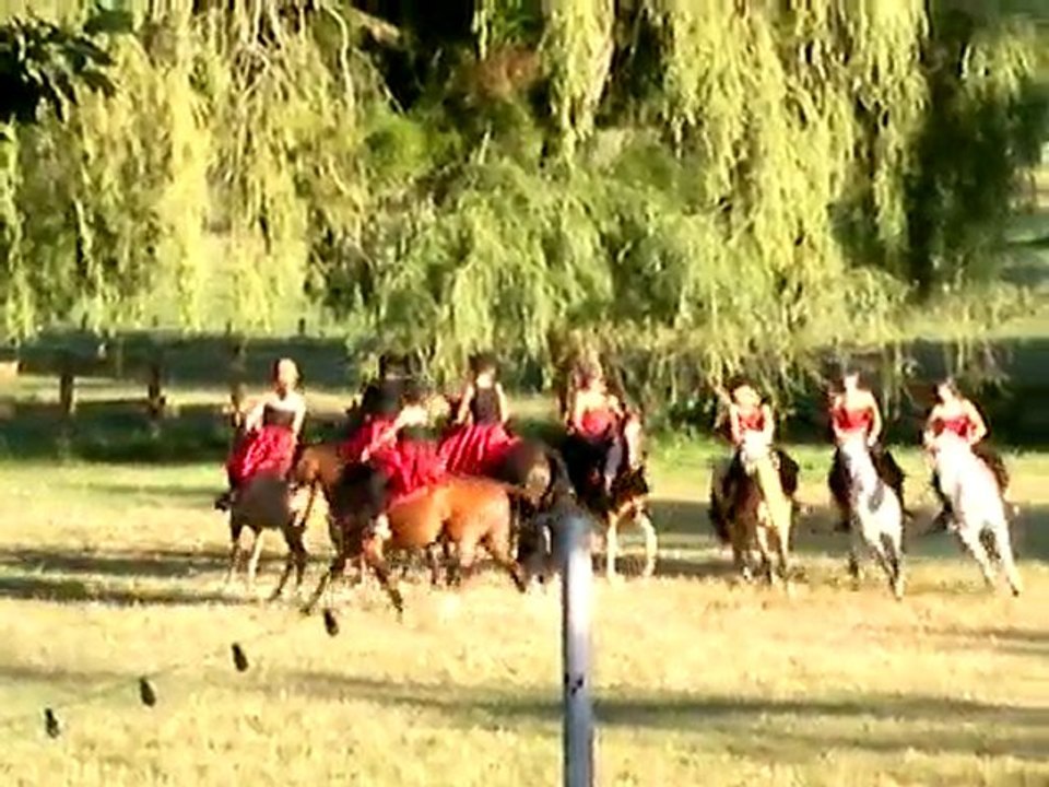 fete pc 2011 video 009