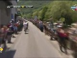 Tour de France 2011 - ÉTAPE 14 - Saint-Gaudens=>Plateau de Beille 168.5 km(10)