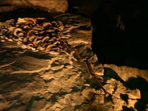 2010-Bones & Trees - Vernissage du festival Ethnik'art 2010 (09-09-2010) expo bones & trees - LiègeTv - 11-09-2010