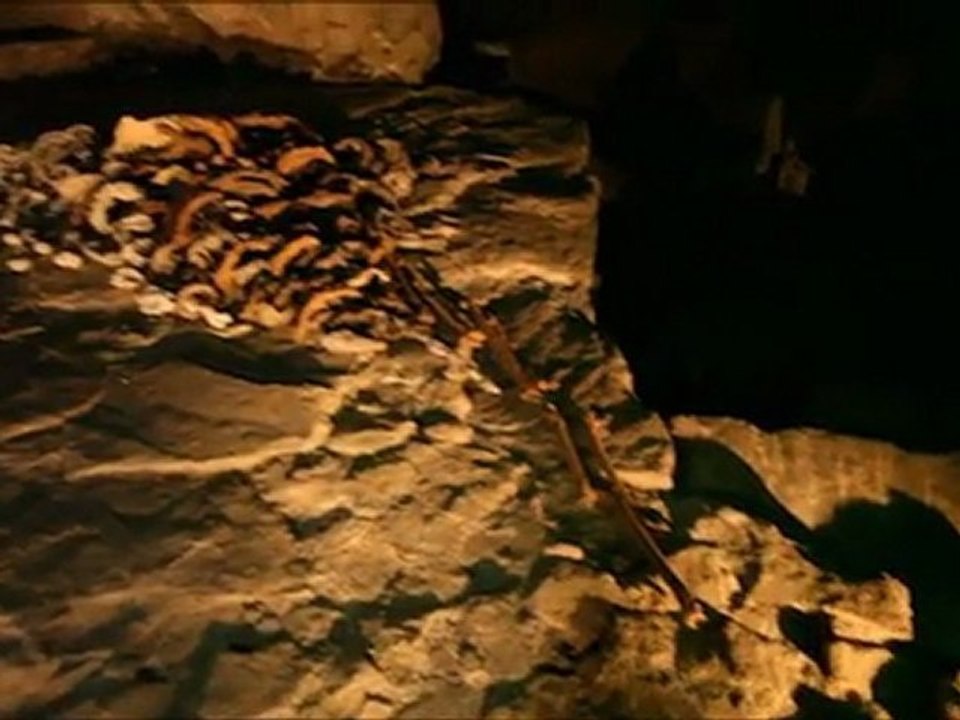 2010-Bones & Trees - Vernissage du festival Ethnik'art 2010 (09-09-2010) expo bones & trees - LiègeTv - 11-09-2010