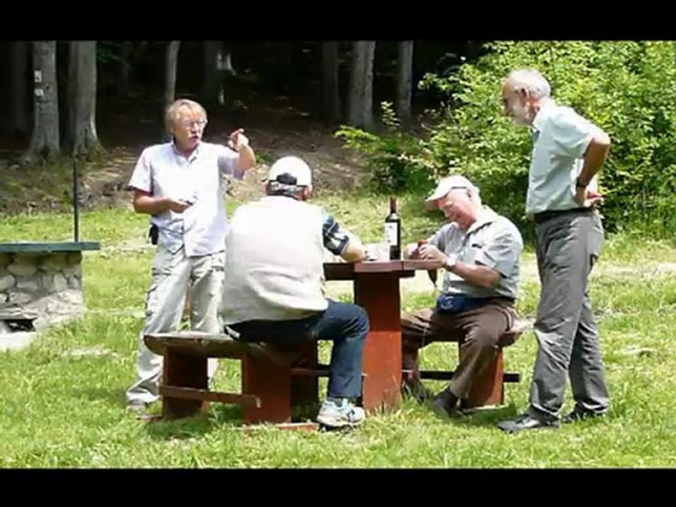 Voyage en Hongrie Dalton41