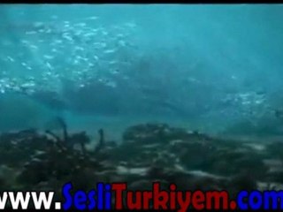 Trabzon Gençlik olimpiyatları klip