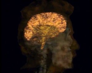 Υπερκινητικός Δάσκαλος~Ανθρώπινο σώμα 1