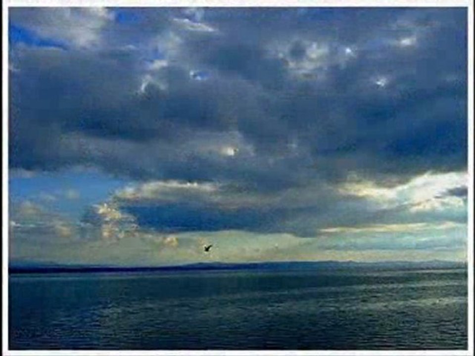 djamel bani dissin n'aaraq