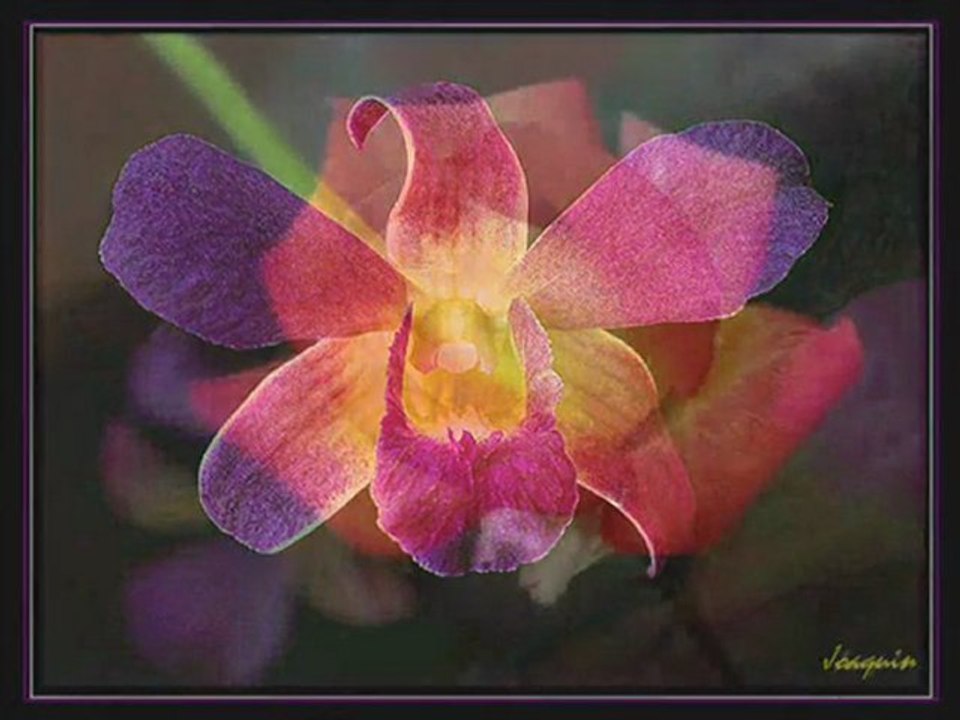 AŞK..Anjelika Akbar..