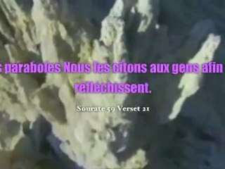 Une des maladies de notre Oumma et son remede